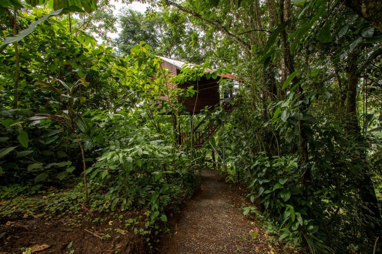 Arenal Rustic Lodge La Fortuna Екстер'єр фото