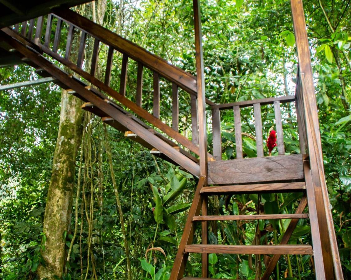 Arenal Rustic Lodge La Fortuna Екстер'єр фото