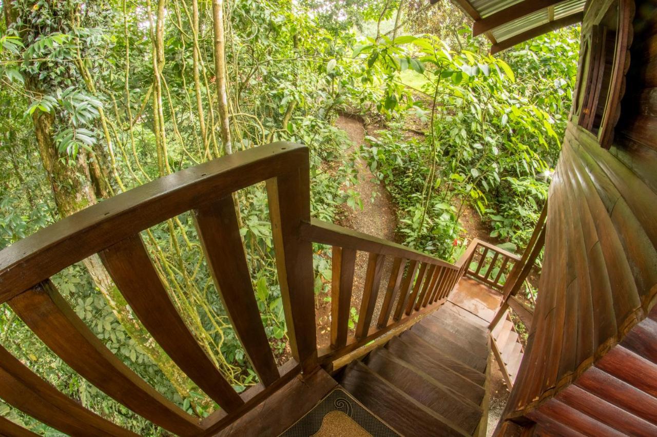 Arenal Rustic Lodge La Fortuna Екстер'єр фото