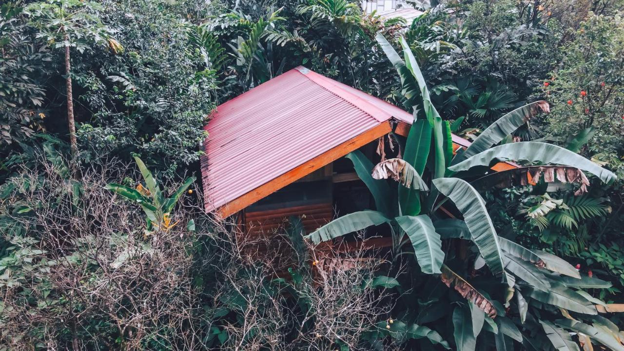 Arenal Rustic Lodge La Fortuna Екстер'єр фото