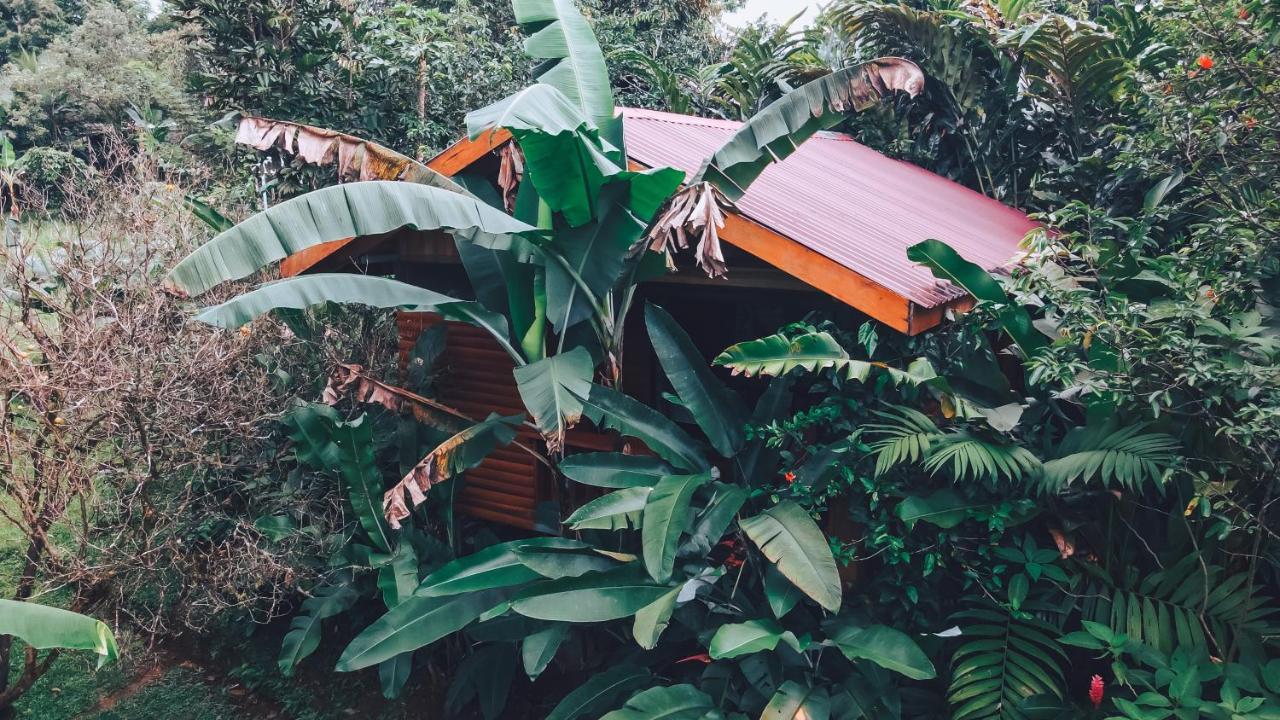 Arenal Rustic Lodge La Fortuna Екстер'єр фото