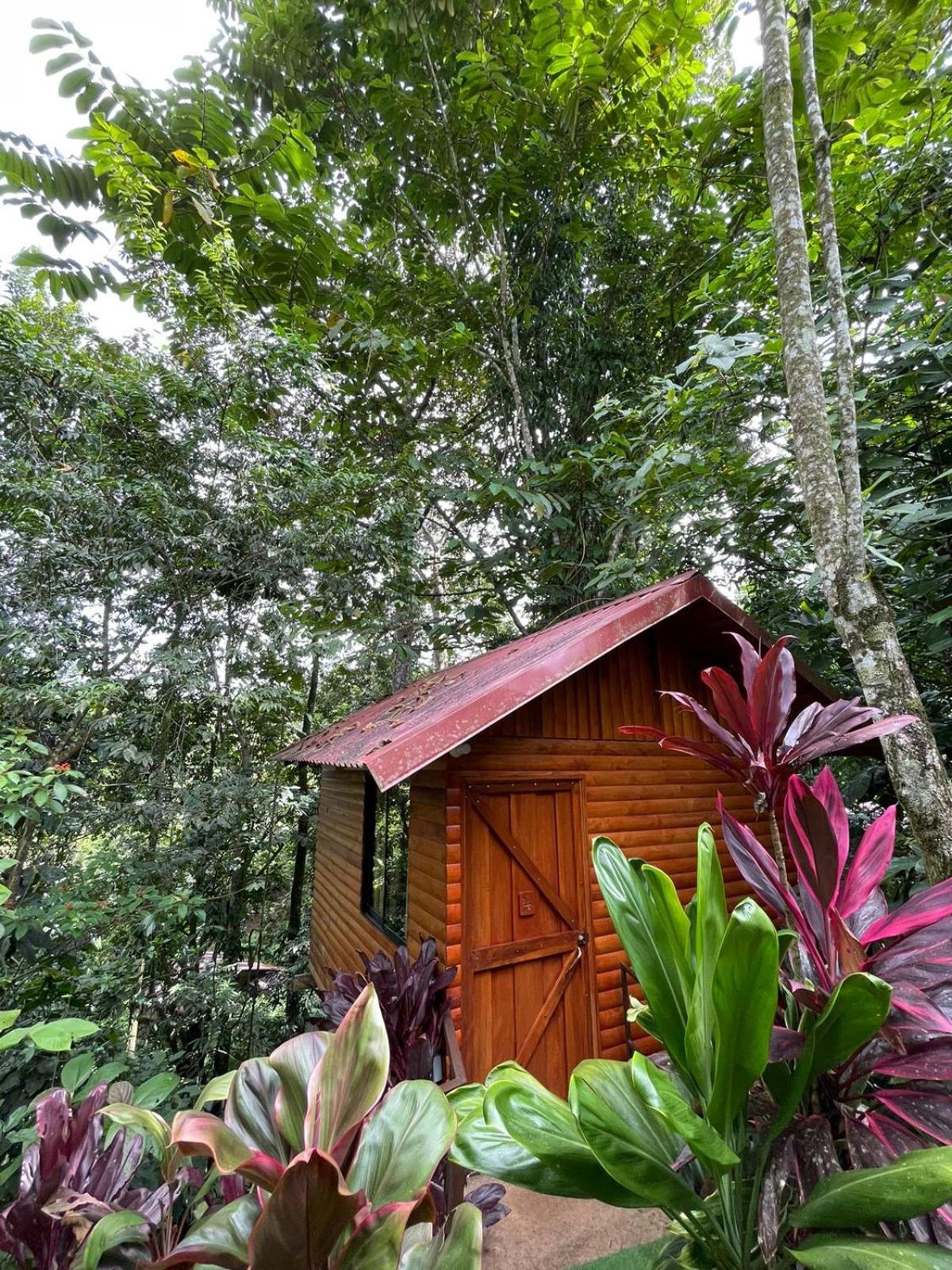 Arenal Rustic Lodge La Fortuna Екстер'єр фото