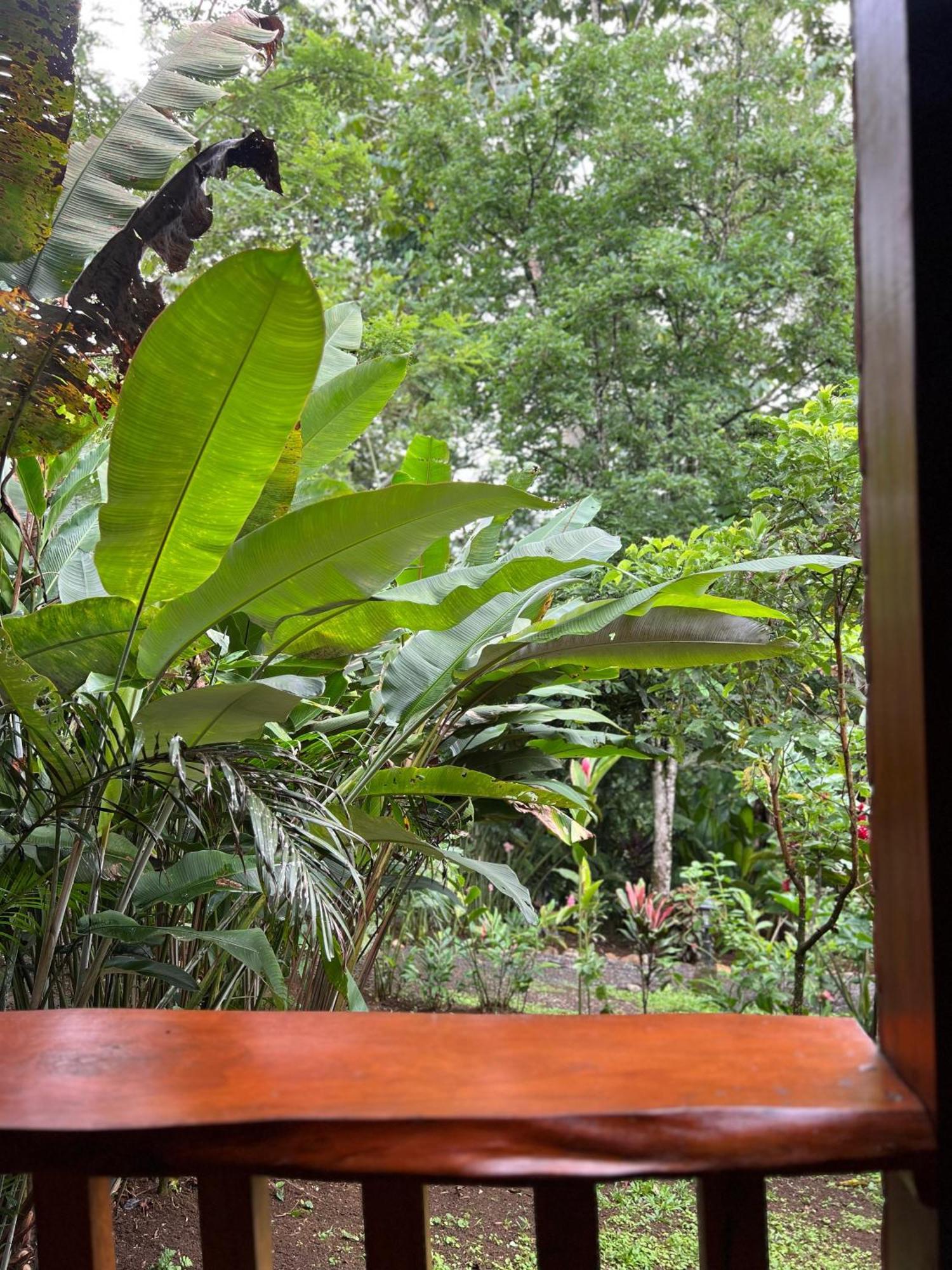 Arenal Rustic Lodge La Fortuna Екстер'єр фото