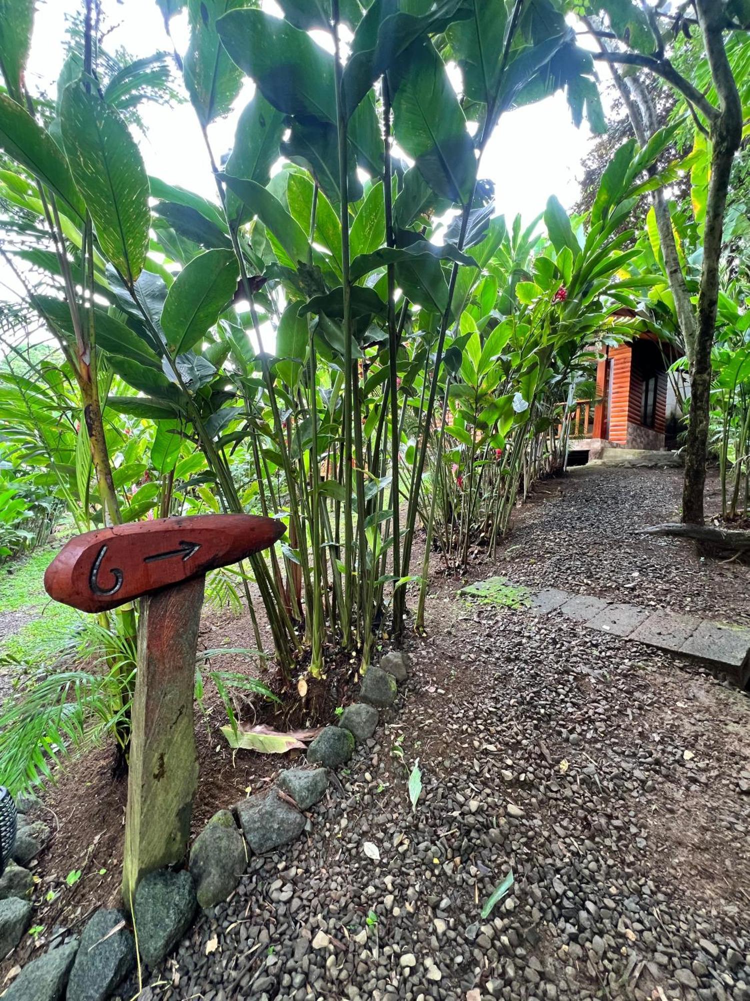 Arenal Rustic Lodge La Fortuna Екстер'єр фото