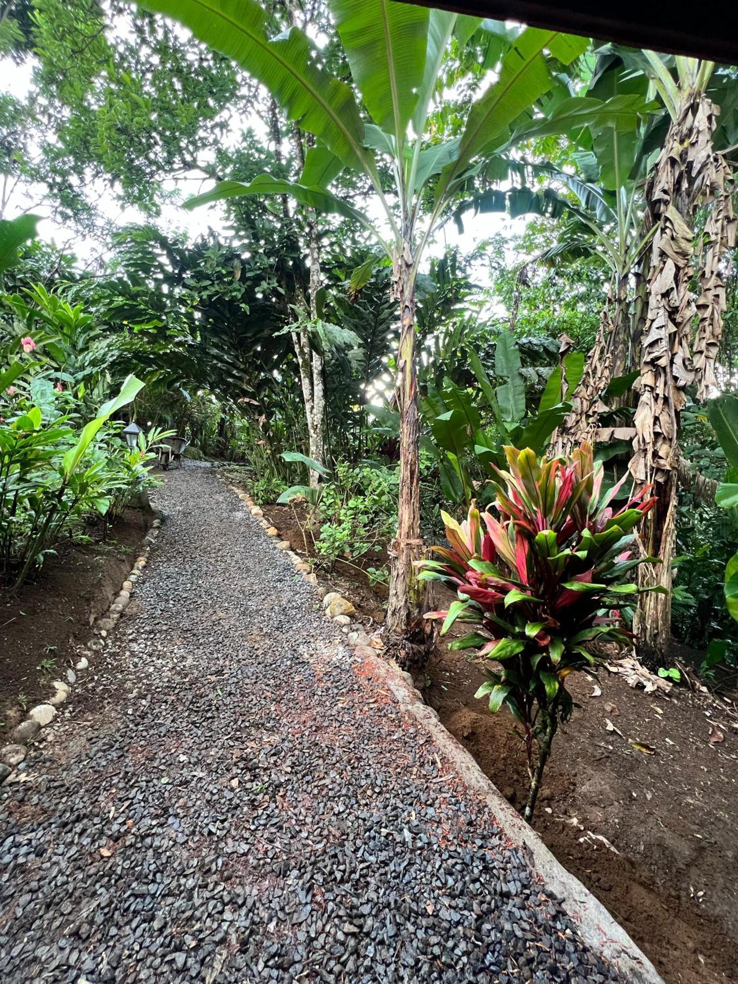Arenal Rustic Lodge La Fortuna Екстер'єр фото