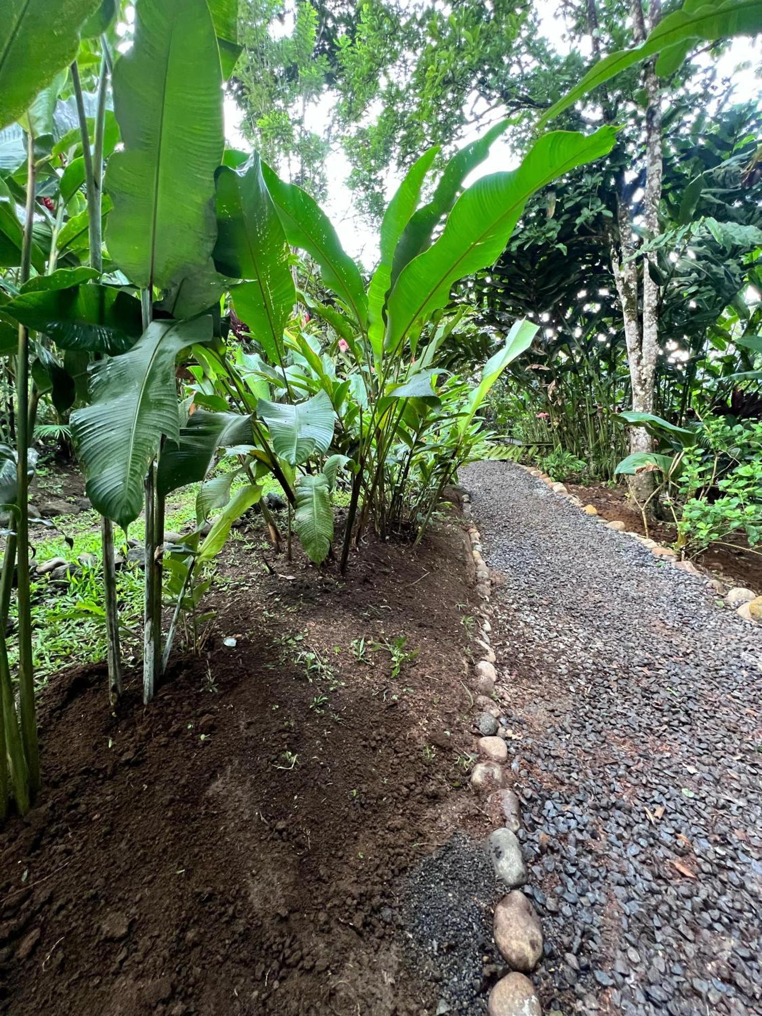 Arenal Rustic Lodge La Fortuna Екстер'єр фото